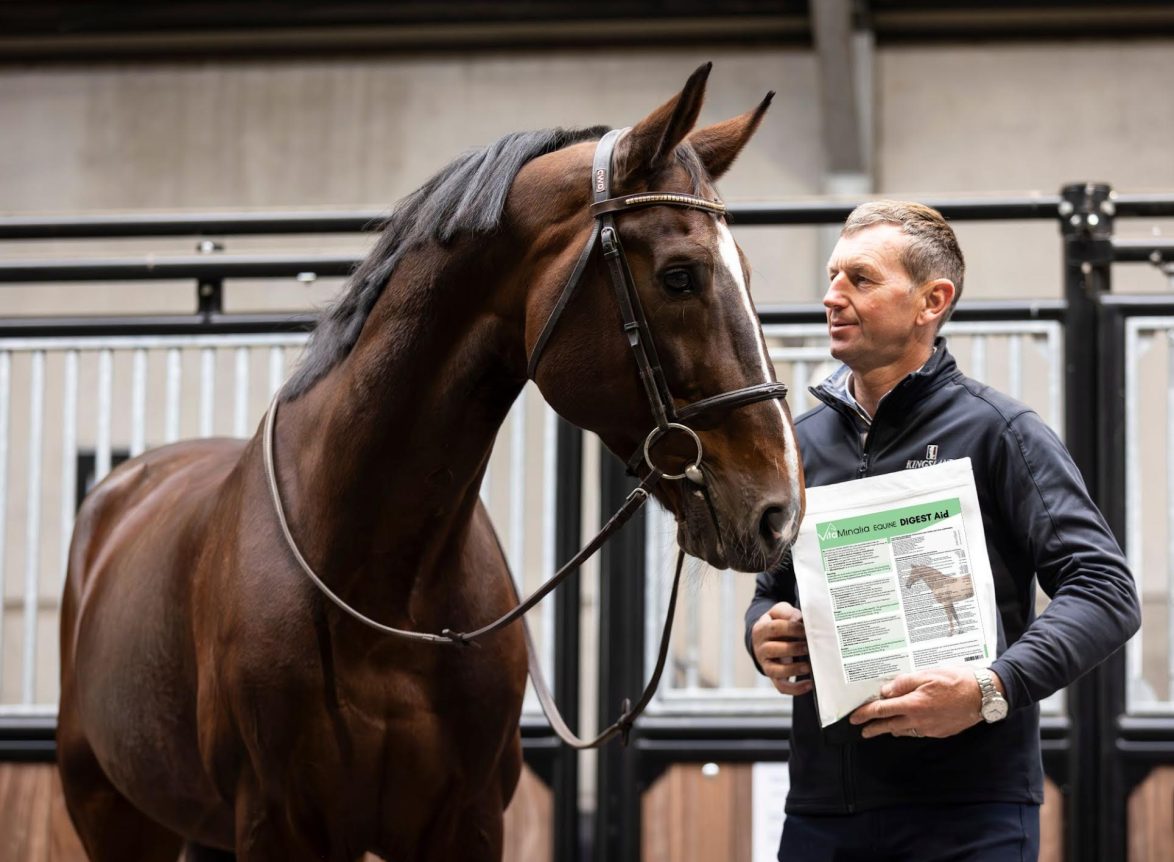 Koen Vereecke Vitaminalia Equine Digest Aid